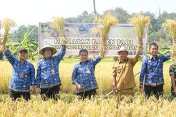 Sawah seluas 2.486 hektare di Purwakarta panen selama Oktober