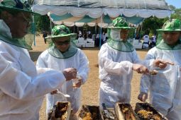 Abdimas BEM Vokasi UI kembangkan UMKM Desa Wisata Kubang Baros