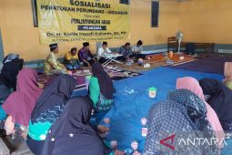 DPRD Kalsel tegaskan perlindungan bagi perempuan dan anak