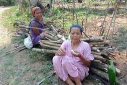 Warga pedalaman Lebak masih pertahankan kayu bakar untuk masak