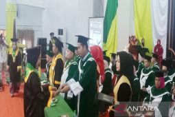 313 mahasiswa STAIN Madina diwisuda