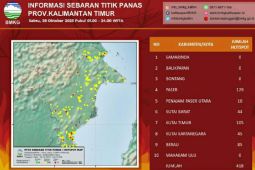 418 titik panas terdeteksi di Kalimantan Timur
