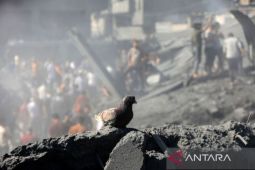 47 masjid dan 3 gereja di Gaza hancur akibat serangan Israel