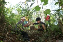 Batara, Jalan menuju Masyarakat Papring Sejahtera