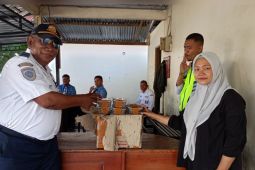 BKSDA  Maluku serah terima satwa liar 20 ekor kadal lidah biru