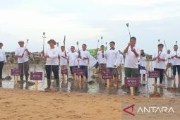 BPOM Pangkalpinang tanam 1.000 bibit mangrove wujudkan transformasi net zero carbon