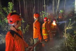 BPBD Trenggalek catat 42 karhutla selama kemarau 2023