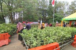Distan Lebak bagikan benih buah-buahan ke masyarakat untuk penghijauan