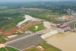 Indonesia butuh banyak bendungan untuk dukung ketahanan air