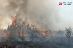 DPRD Seruyan sebut karhutla di dapil dua bisa terkendali