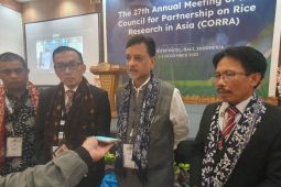 Kementan optimis target 35 juta ton produksi padi tercapai