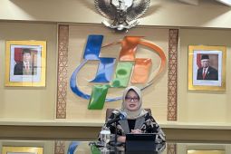 Beras kembali jadi komoditas penyumbang inflasi terbesar Oktober