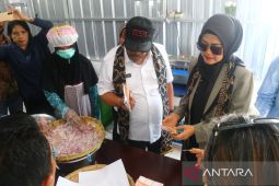 Gubernur Maluku  salurkan bantuan alat produksi olahan pertanian