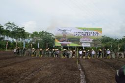 Kodam IM tanam 126 hektare jagung di Aceh, kejar target