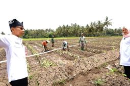 Pemkab Banyuwangi pastikan ketersediaan air di area pertanian