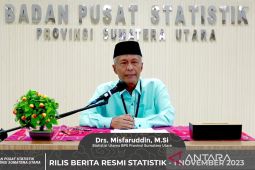 BPS: Harga gabah di petani-penggilingan Sumut turun pada Oktober 2023