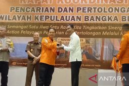 88,45 persen kejadian bencana di Babel karhutla