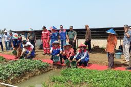 Desa Energi Pertamina atasi kendala irigasi petani Kalijaran