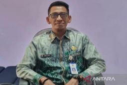 Kalsel miliki enam layanan tangani kasus kekerasan perempuan dan anak