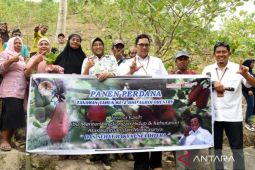 Program RHL tingkatkan perekonomian masyarakat Gorontalo