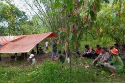 Polisi dan ratusan warga cari bocah hilang di hutan Empat Lawang