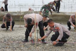 Polda Sulteng tanam sebanyak 1.000 mangrove di kawasan pesisir pantai Popa