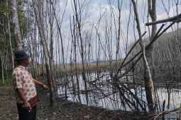 Polda Kalsel tindak lanjuti dugaan pidana "dumping" limbah di Desa Kinarum