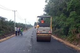 Warga sambut gembira pembangunan jalan ke sentra produksi nanas