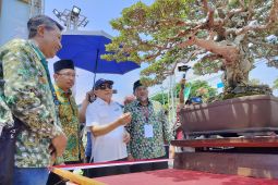 Menkop siap bantu penggemar bonsai sasar pasar ekspor