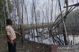 Polhukam Kalsel kemarin, pidana "dumping" limbah dan 694 DCT Kalsel