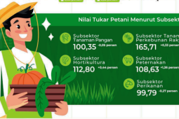Kenaikan harga unggas dongkrak kenaikan nilai tukar peternak
