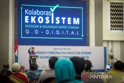Menko UKM  ingin ICMI ciptakan sumber ekonomi baru lewat digitalisasi