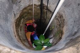 Heboh kucing masuk sumur, regu Damkar Lampung Selatan dikerahkan untuk evakuasi
