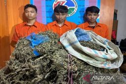 Lagi, kurir ganja antar provinsi kembali diamankan Polres Madina, barang bukti 1 goni ganja