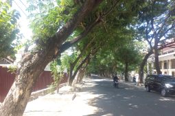 Salah satu jalan yang memiliki suasana sejuk ditengah musim panas yang melanda Kota Palu