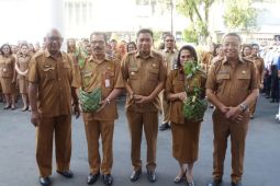 Upaya menekan inflasi, Pemkot Ambon bagi tanaman cabai ke ASN