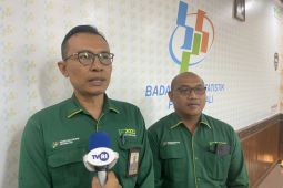 BPS catat ekonomi Bali meningkat meski pertanian alami kontraksi