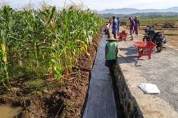 Program Padat Karya Tunai SDA hingga Oktober 2023 serap 273.641 orang