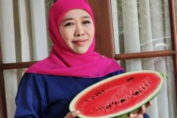 Khofifah Indar Parawansa tunjukkan dukungan untuk Palestina