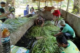 BRGM gencarkan edukasi perlindungan gambut di Kalimantan Barat