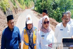 Wabup tinjau pengerjaan ruas jalan Pagur - Panyabungan di Panyabungan Timur