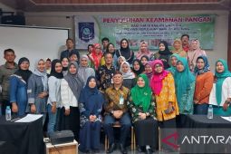 Pemprov Babel lakukan penyuluhan keamanan pangan bagi IKM