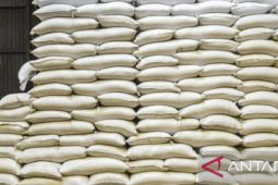Bapanas: Mundurnya masa panen tidak pengaruhi cadangan beras