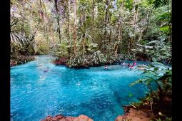 Menyelami keindahan Kali Biru, "surga dunia" di pedalaman Raja Ampat