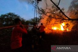 BMKG deteksi 51 titik panas di Provinsi Kalimantan Timur