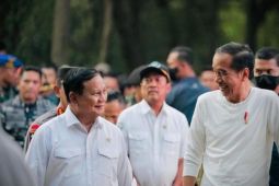 SPIN: Prabowo-Gibran berpeluang menang karena dukungan pemilih Jokowi