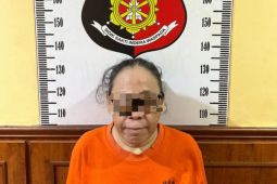 Polisi tangkap perempuan gelapkan uang pinjaman caleg Pemilu 2024