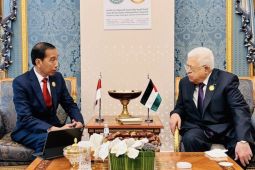 Israeli atrocities against Palestine violate international law: Jokowi
