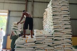 Stok beras di Kapuas Hulu 432 ton cukup untuk kebutuhan tiga bulan ke depan