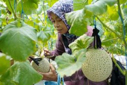 Dompet Dhuafa gelorakan berwakaf